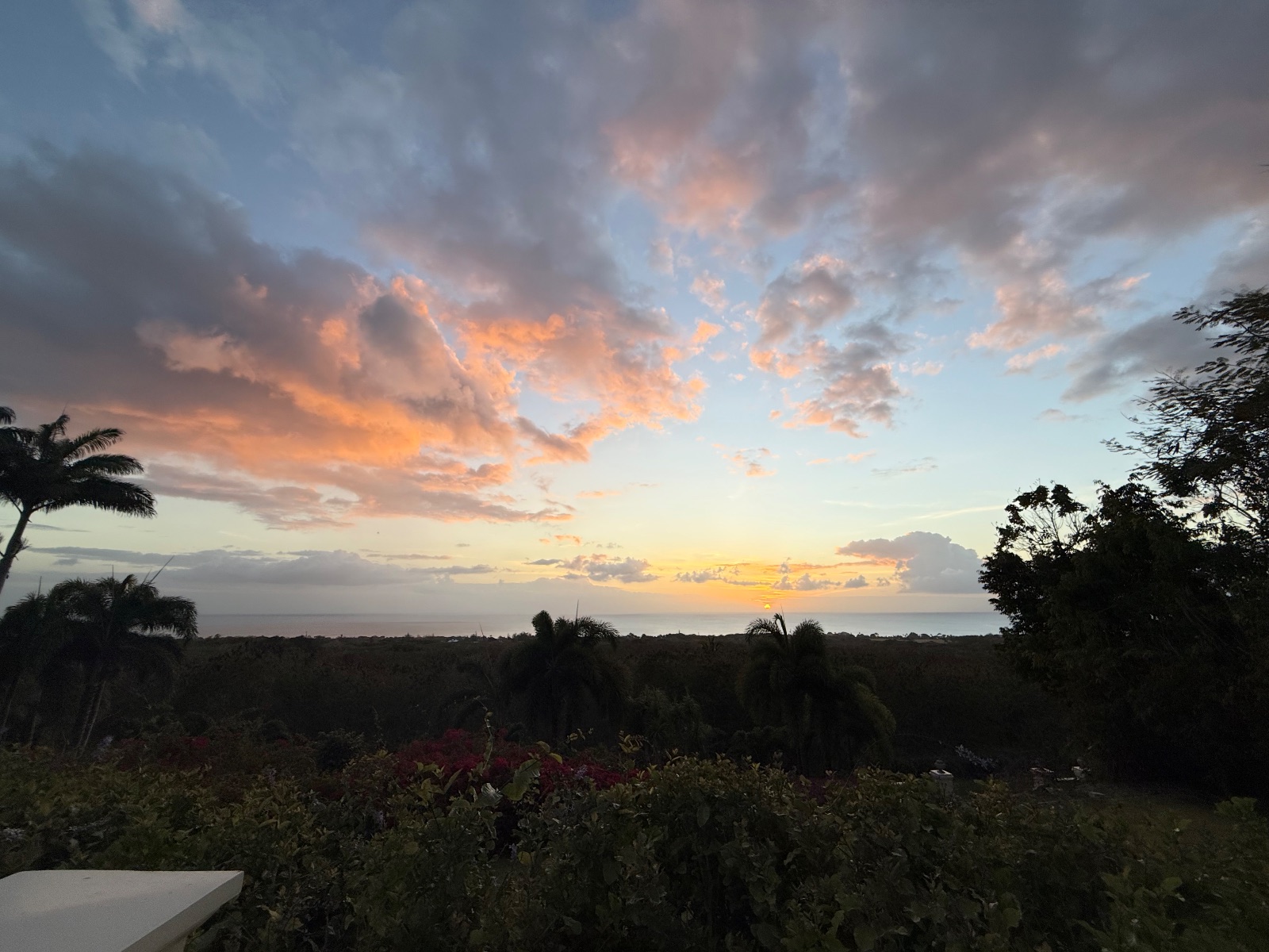 Sunset post wedding