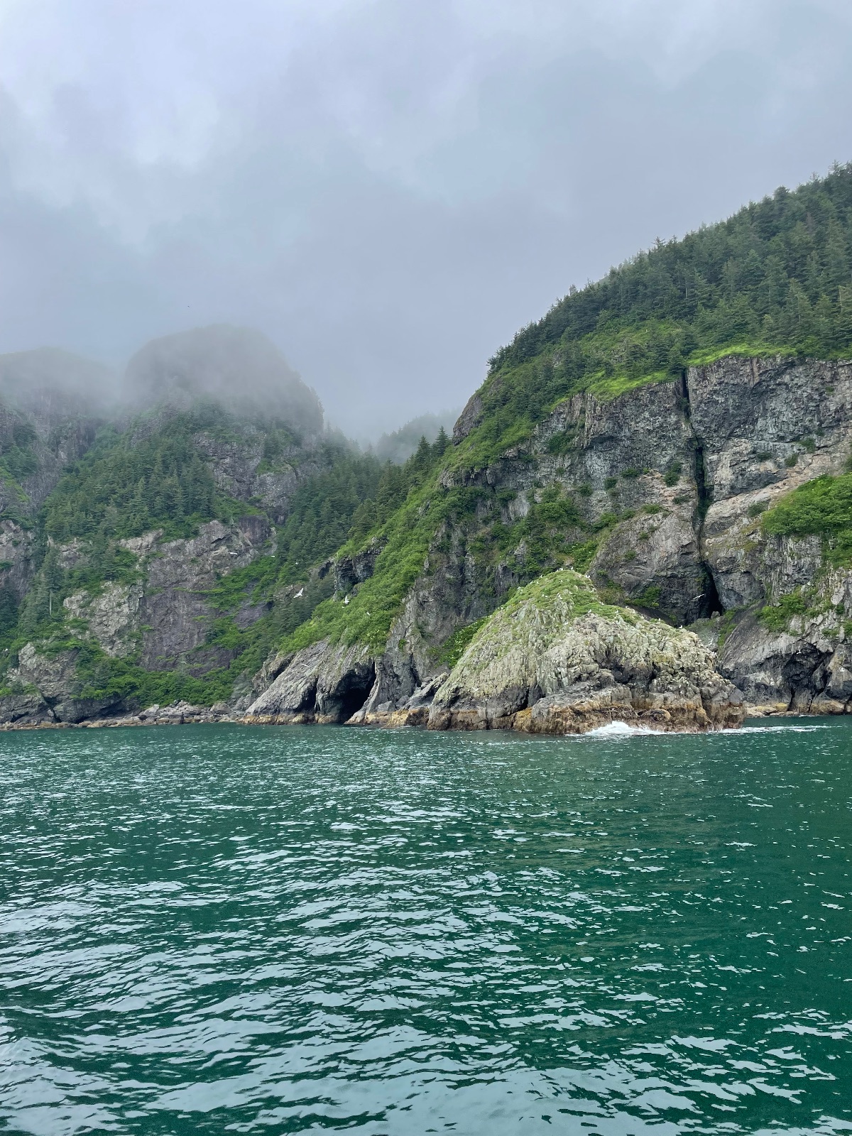 Kenai fjords